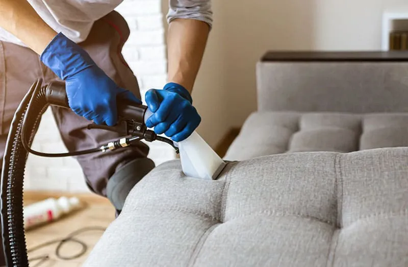 Carpet & Upholstery Cleaning