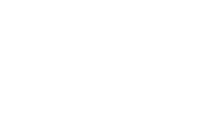 Travelers